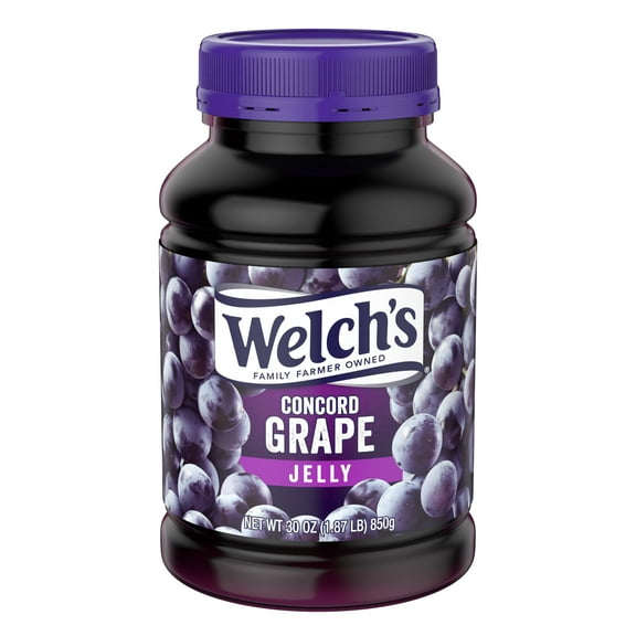 Welch's Concord Grape Jelly (Pack of 4)