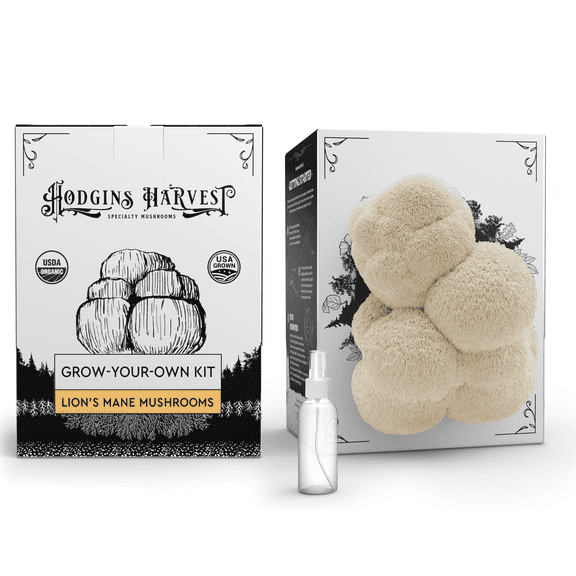 Hodgins Harvest Organic Lion's Mane Mushrooms Grow-Your-Own Kit