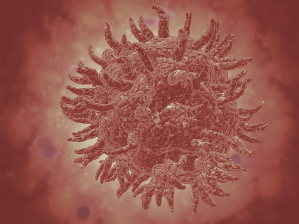 Microscopic view of yellow fever virus. Yellow fever is an acute viral