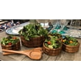 thumbnail image 2 of Kalmar Home 10-Inch Acacia Wood Large Skagen Salad Bowl with 4 Individuals, 2 of 3