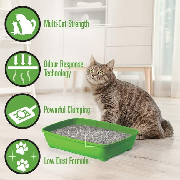 Simplicity plus cat litter cheap