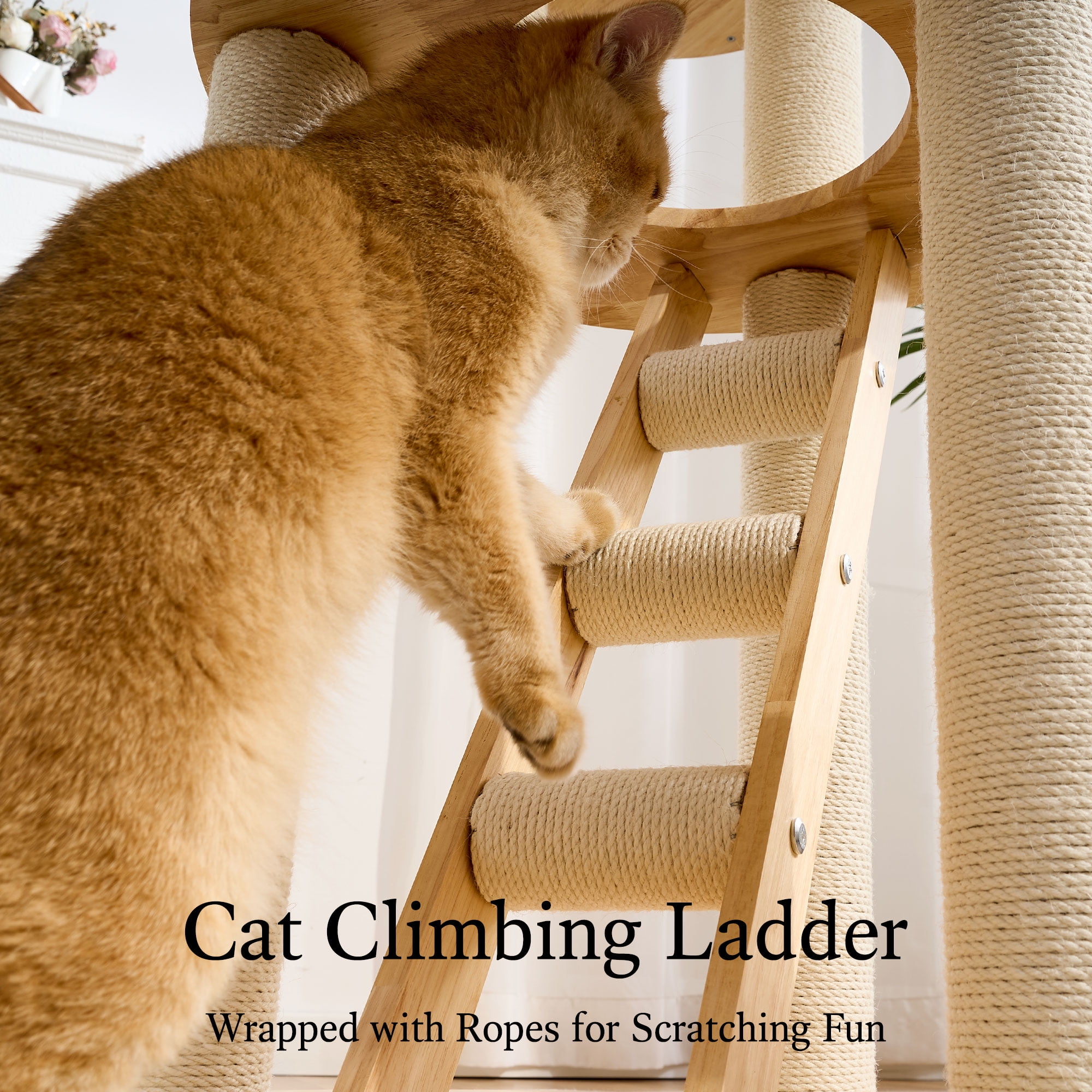 797Audio Solid Wood Cat Tree, 61" Large Modern Tall Cat Tower with Sisal Scratching Posts, Cat Condo, Capsule and Ladder, Aesthetic Multi-Level Cat Climbing Tree for Large Adult Indoor Adult Cats
