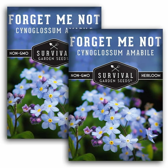 2 Packs of Forget-Me-Not Seed - Non-GMO Heirloom Full Sun Annual Flower