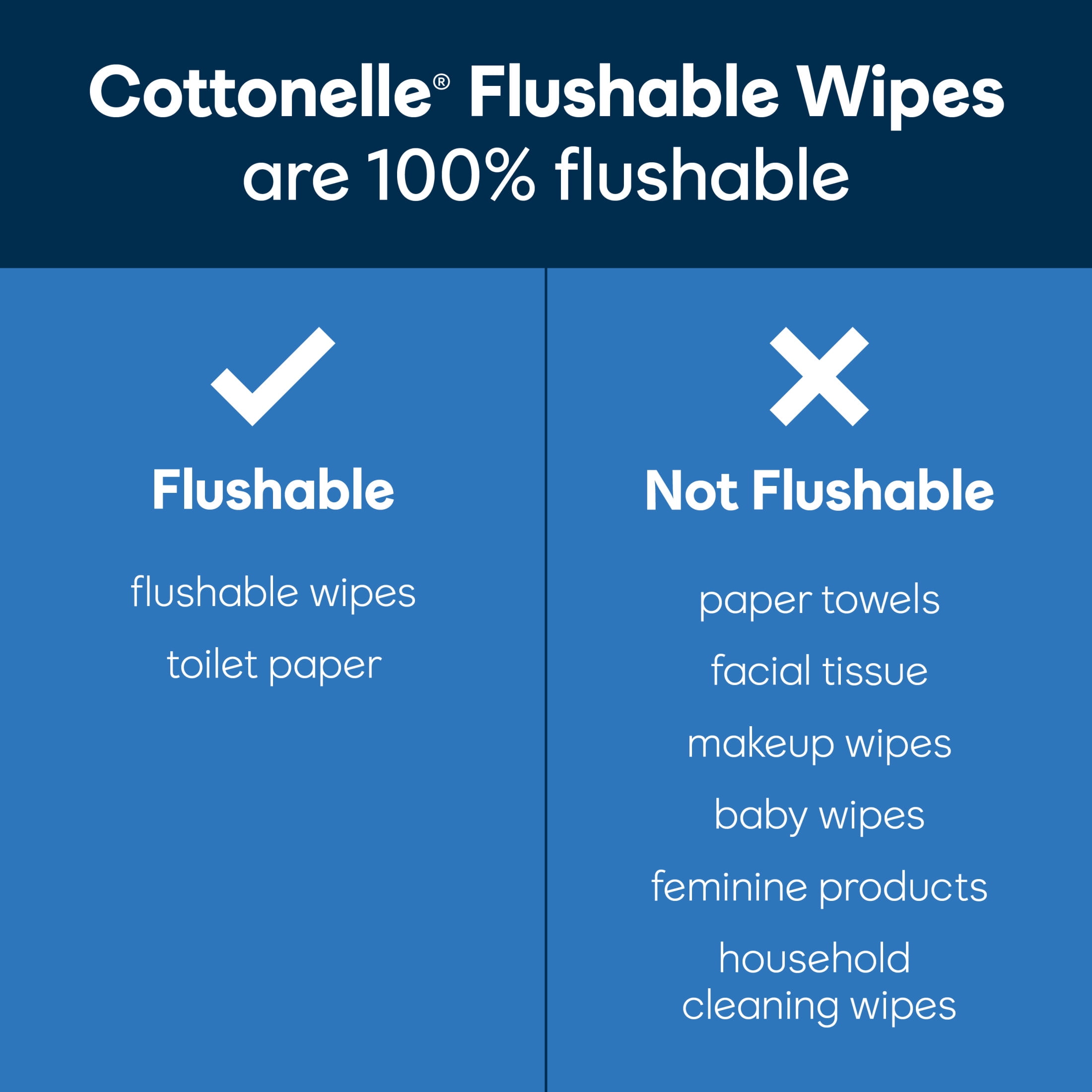 (2 pack) Cottonelle Ultra Fresh XL Flushable Wet Wipes, 1 Flip-Top Pack