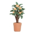 thumbnail image 4 of Planta Bonsái para Casa de Muñecas BuyWeek Escala 1:12 Naranjo, 4 of 14