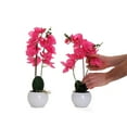 thumbnail image 4 of Bornbridge Artificial Potted  Orchid - Single - Hot Pink - Large, 4 of 5