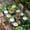 Green Gold Black, variant on St. Patrick's Day Table Cloths for 3 Foot Rectangle Tables, Spring Lucky Shamrocks Green Gnomes Plaid Patio Waterproof Elastic Fitted Tablecloths, Washable Rectangular Table Cover for Camping