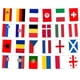 thumbnail image 1 of 2024 Euro Football Championship Bunting Flags 24 Teams 7 Meters/Pack, 2024 European Cup Country Flags Banners For Garden, Bar, Party, Office, 1 of 5