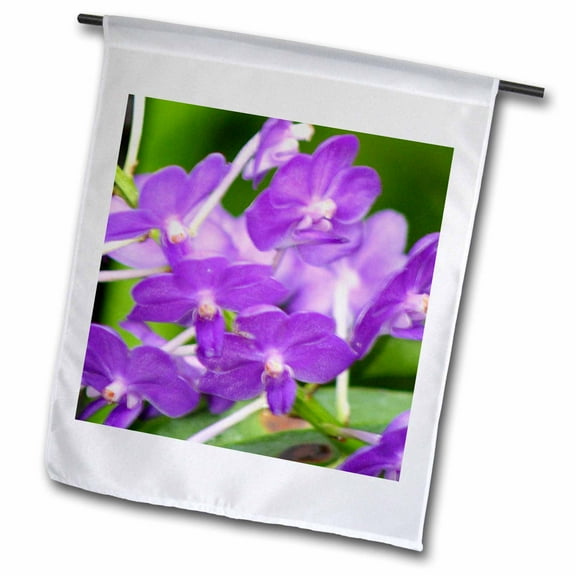 3dRose, ORCHID - FF, 12 x 18 inch Garden Flag