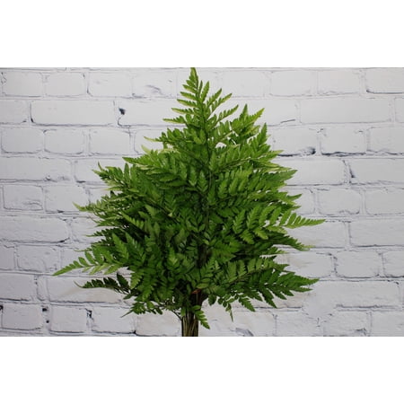 Real Touch Flowers - Fresh & Natural Leather Leaf - 1 Bunch (20 stems)