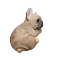 thumbnail image 5 of Bulldog Bliss: Polyresin Resting French Bulldog in Rich Brown, 5 of 5