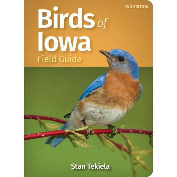 Bird Identification Guides: Birds of Iowa Field Guide (Paperback)