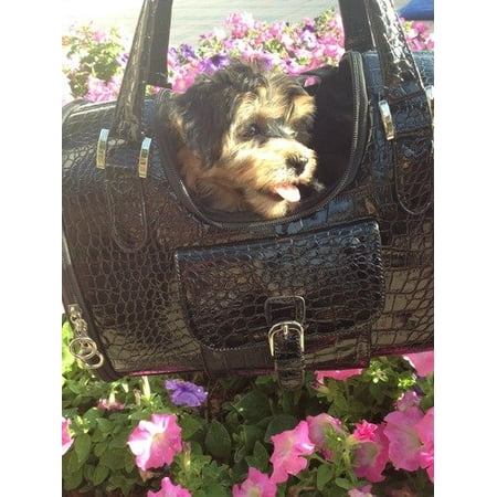 - Faux-Crocodile Travel Bag w/Matching Coin Purse Tote Carrier -- Black by mpet