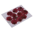 thumbnail image 1 of KLKCMS 12 Pcs Fleurs Séchées Rouges Amour-en-un Embellissements Scrapbooking DIY Rouge, 1 of 9