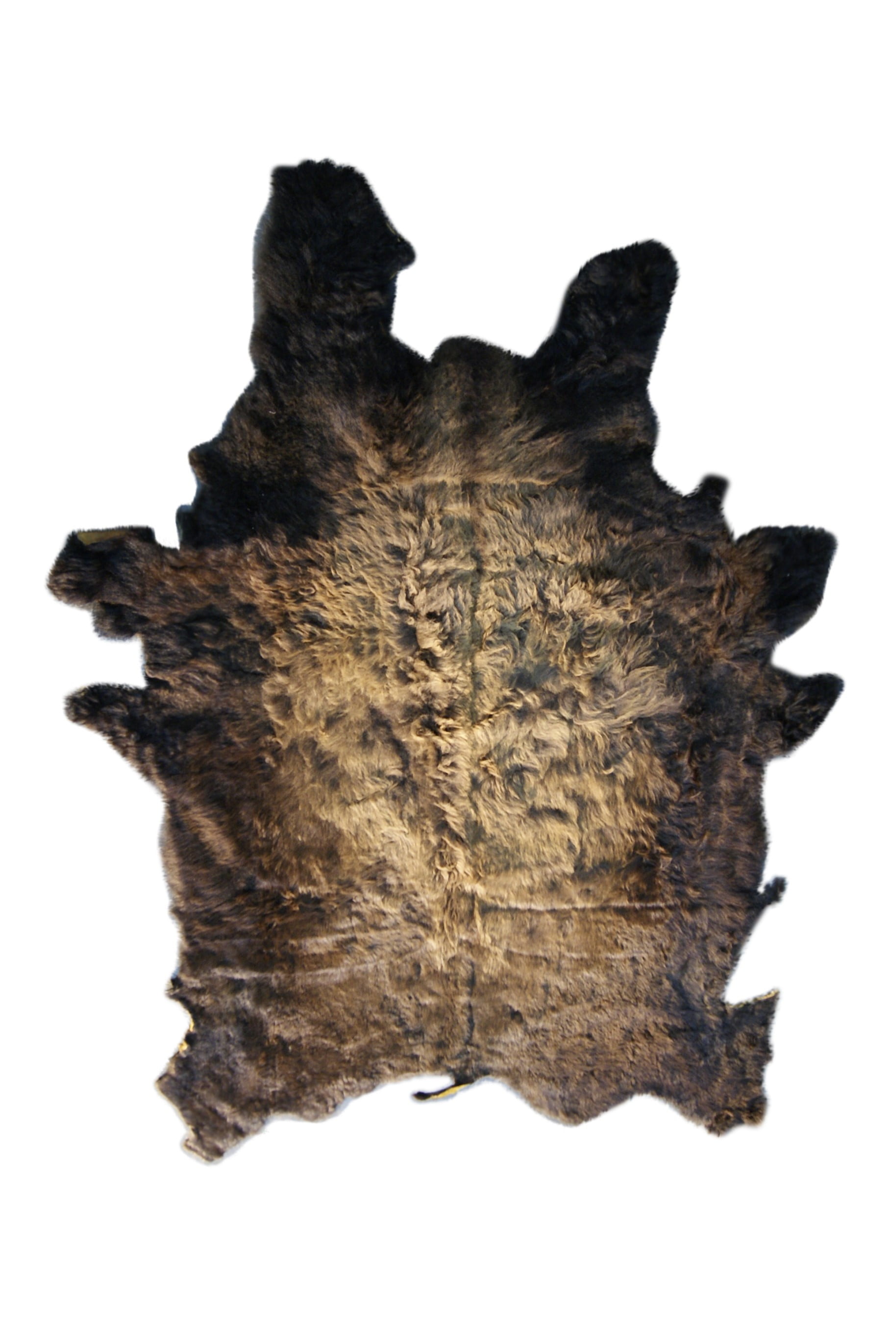 8" X 5" X 5" Buffalo Hide Area Rug