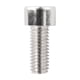 thumbnail image 3 of Tornillo para Porta Anfora de Bicicleta M5 Tl107C, 3 of 3