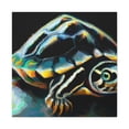 thumbnail image 2 of "Box Turtle Reflection" - Canvas, 2 of 25