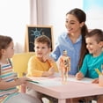 thumbnail image 4 of Human Anatomy for Kids,Removable Skeleton Model and Torso Human Body for Kids,Scientific sSkeleton Educational Toys Gifts, 4 of 4