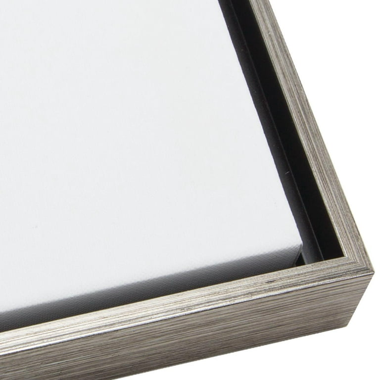 Illusions Floater Frame, 16x20 Silver/Black - 3/4 Deep
