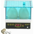 thumbnail image 2 of SHANNA Egg Incubator 4 Eggs Mini Household Incubator Hatcher for Chicken /Ducks/Pigeon, 2 of 8