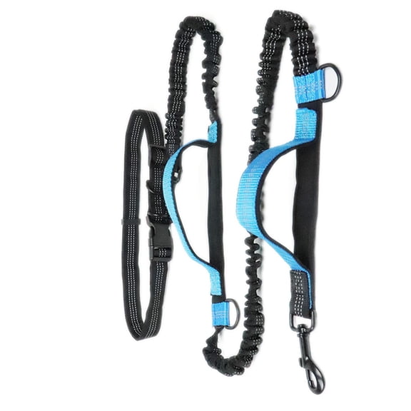 Hands-Free Bungee Dog Running Leash Dual Retractable Reflective Walking Belt, Lake Blue
