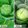 thumbnail image 3 of Justharion Vegetable Mesh Netting Anti-insect Nylon Garden Netting Cover Reusable Greenhouse Plants Screen Net, 3 of 6