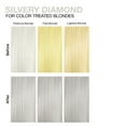 thumbnail image 3 of CELEB Conditioner for Silver Blonde Hair, 8.5 fl oz, 3 of 6