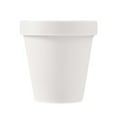 thumbnail image 2 of SSZMDLB under $5 Empty Plastic Cups, Reusable Plastic Cups, Multi-Purpose Empty Cups for Ice Cream and Scrubs, Frosted Cups for Face Masks and Desserts, 2 of 8