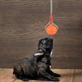 thumbnail image 3 of Pelota de juguete interactivo para masticar con cuerda EVA portátil para entrenamiento de perros, resistente a mordeduras (roja), 3 of 11