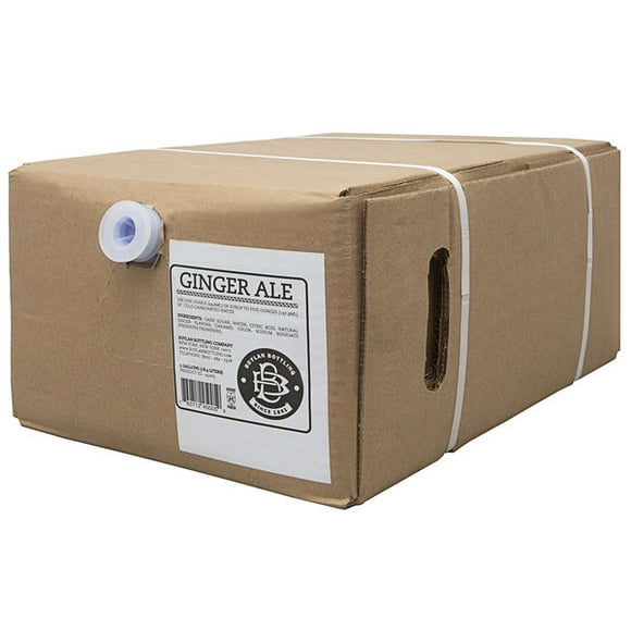 Boylan Bottling Co. 5 Gallon Bag in Box Ginger Ale Beverage / Soda Syrup