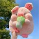 thumbnail image 5 of Sleeping Comfort Doll for Children'S Birthday Gift pig, 5 of 5