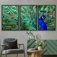 thumbnail image 3 of wall26 - 3 Piece Framed Canvas Wall Art - Male Peacock Displaying His Colorful Feathers - Modern Home Art Stretched and Framed Ready to Hang - 24"x36"x3 BLACK, 3 of 5