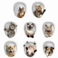 thumbnail image 6 of Cute Animal Toilet Sticker Waterproof 3D Funny Dog Cracking Toilet Seat Lid Decal Bathroom Wall Sticker Squirrel Toilet Lid Decal Home Decoration, 6 of 7