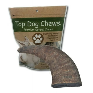 Bully horn top for dogs