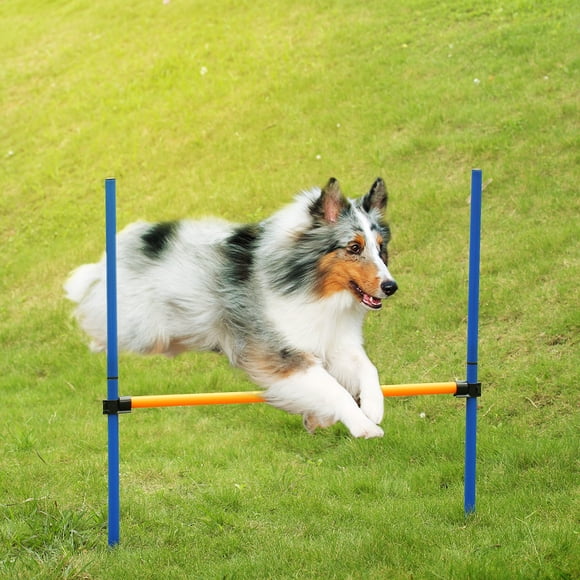 Outdoor Dog Agility Training Jump Hurdle Poles Set - Lightweight PP & Aluminum Alloy Obstacle Equipment for Puppy Agility, Sensitivity Exercise - Blue & Orange with Carrying Bag, 101cm Cross Bar,