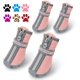 thumbnail image 1 of Zapatos para perros QUMY para perros pequeños, botas para perros cachorros y Pa, 1 of 5