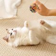 thumbnail image 4 of Jouets pour Animaux en Fil Pur Design Auto-Jouant pour Chat, 4 of 4