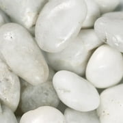 Piedra White Polished Pebble 12 In. X -12 In. 40Lb Bag