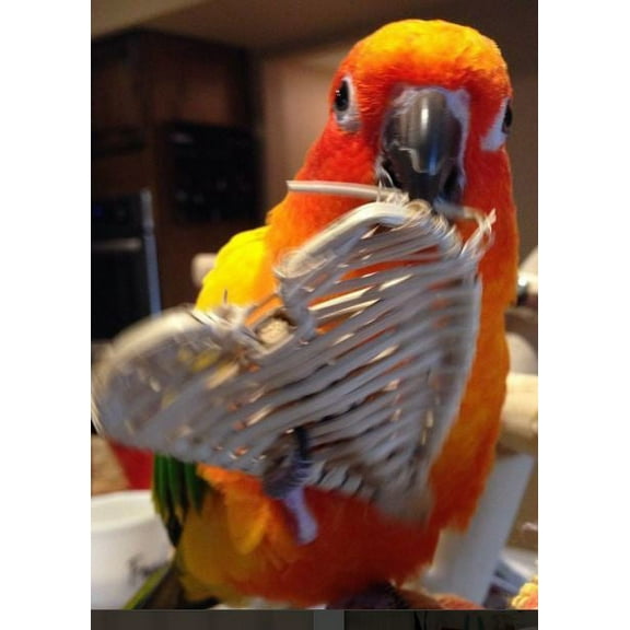 Bonka Bird Toys Bonka Bird Toys 1270 Pk6 Natural Large Vine Heart Foot Talon Craft Part Bird Toys