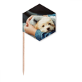 thumbnail image 1 of Puppy Cute Animal Photography Toothpick Flags Cupcake Picks Party Celebration, 1 of 3