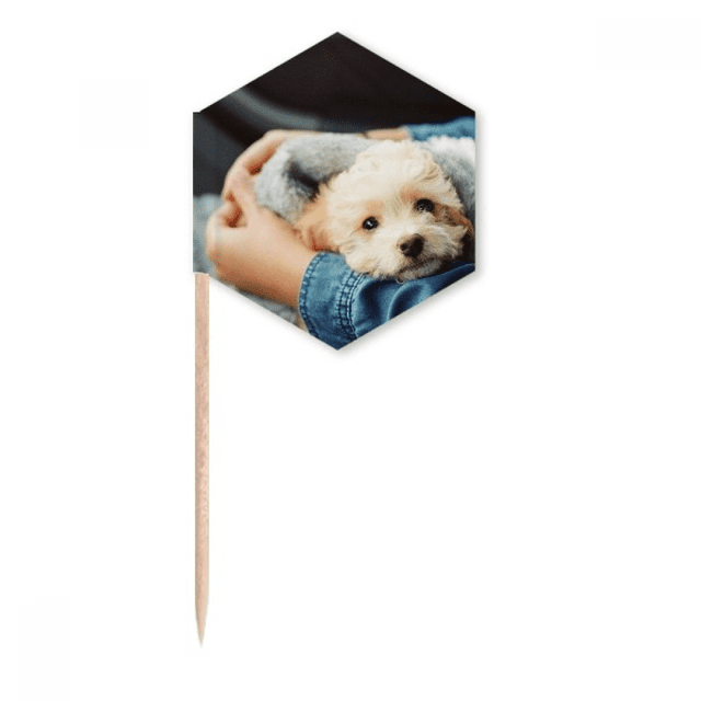 Puppy Cute Animal Photography Toothpick Flags Cupcake Picks Party Celebration