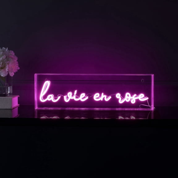 La Vie En Rose 20" X 6" Contemporary Glam Acrylic Box USB Operated LED Neon Light, Pink