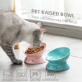 thumbnail image 2 of Cat Bowls Sweejar Ceramic, porcelana inclinada en relieve (rosa), 2 of 6