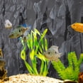 thumbnail image 4 of FENGGUIQU Aquarium Background Cling Reutilizable Para Con Negro, 4 of 7