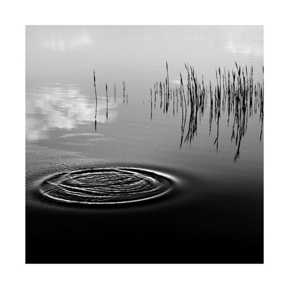 Canvas Wall Art - Poul-Erik Riis 'What Happened?' Wall Art for Living Room, Bedroom, or Office Décor by Trademark Fine Art - 14 x 14 Inches