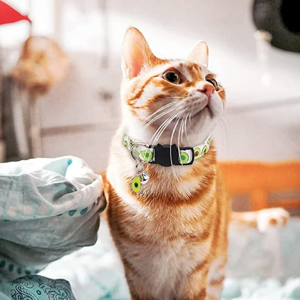 Kitten collar top with bell
