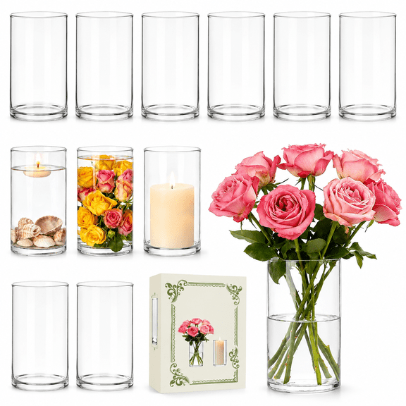 12 Pack 6 Inch Clear Glass Cylinder Vases with Weighted Base