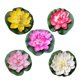 thumbnail image 1 of 5PCS 10CM Simulation Floating Water Lily EVA Lotus Flower Pond Fish Tank Decor Ornaments (White + Red + Yellow + Pink + Light Pink), 1 of 3