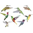 thumbnail image 4 of Adhesivo anticolisión electrostático para vidrio con forma de colibrí, 4 of 5