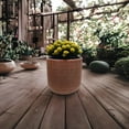 thumbnail image 3 of Ecobo 13.8 inches Eco-Friendly Round Pot Planter Indoor/Outdoor use, Durable, Versatile & Lightweight, Designed by Brazilian Artisans, Contemporary All-Weather Design –Brown, 3 of 4